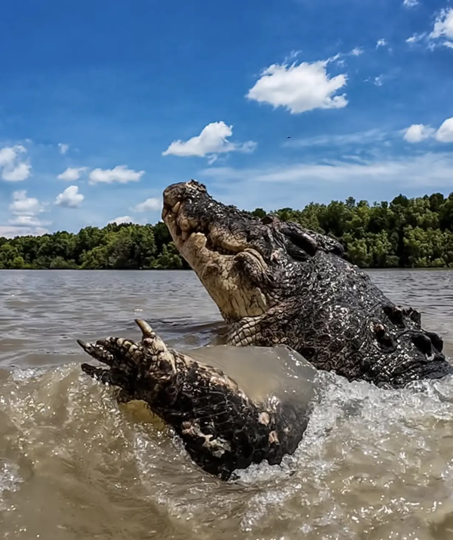 Where to Find Crocs